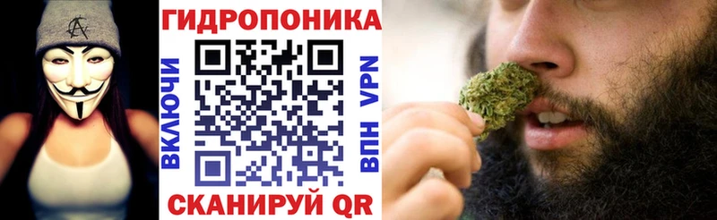 дарк нет какой сайт  Кострома  Шишки марихуана LSD WEED 